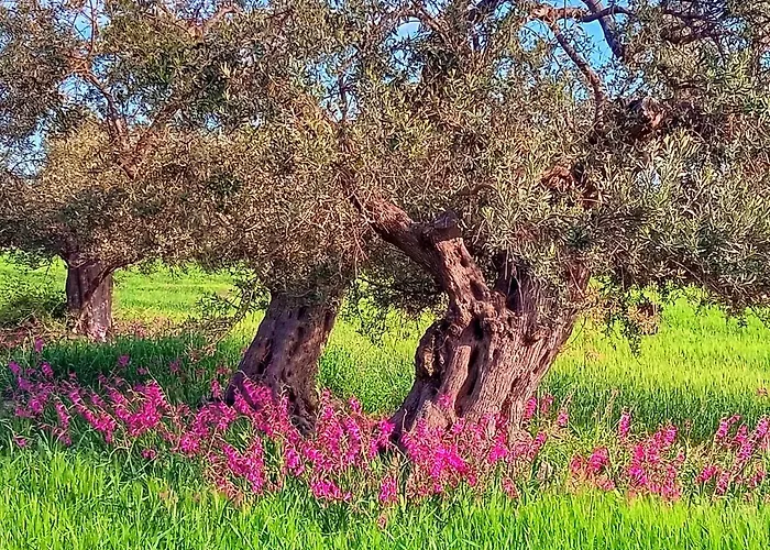 B&B Villa Nella